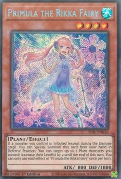 Primula the Rikka Fairy