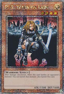 D.D. Warrior Lady (V.2 - Quarter Century Secret Rare)