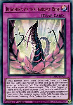 Blooming of the Darkest Rose