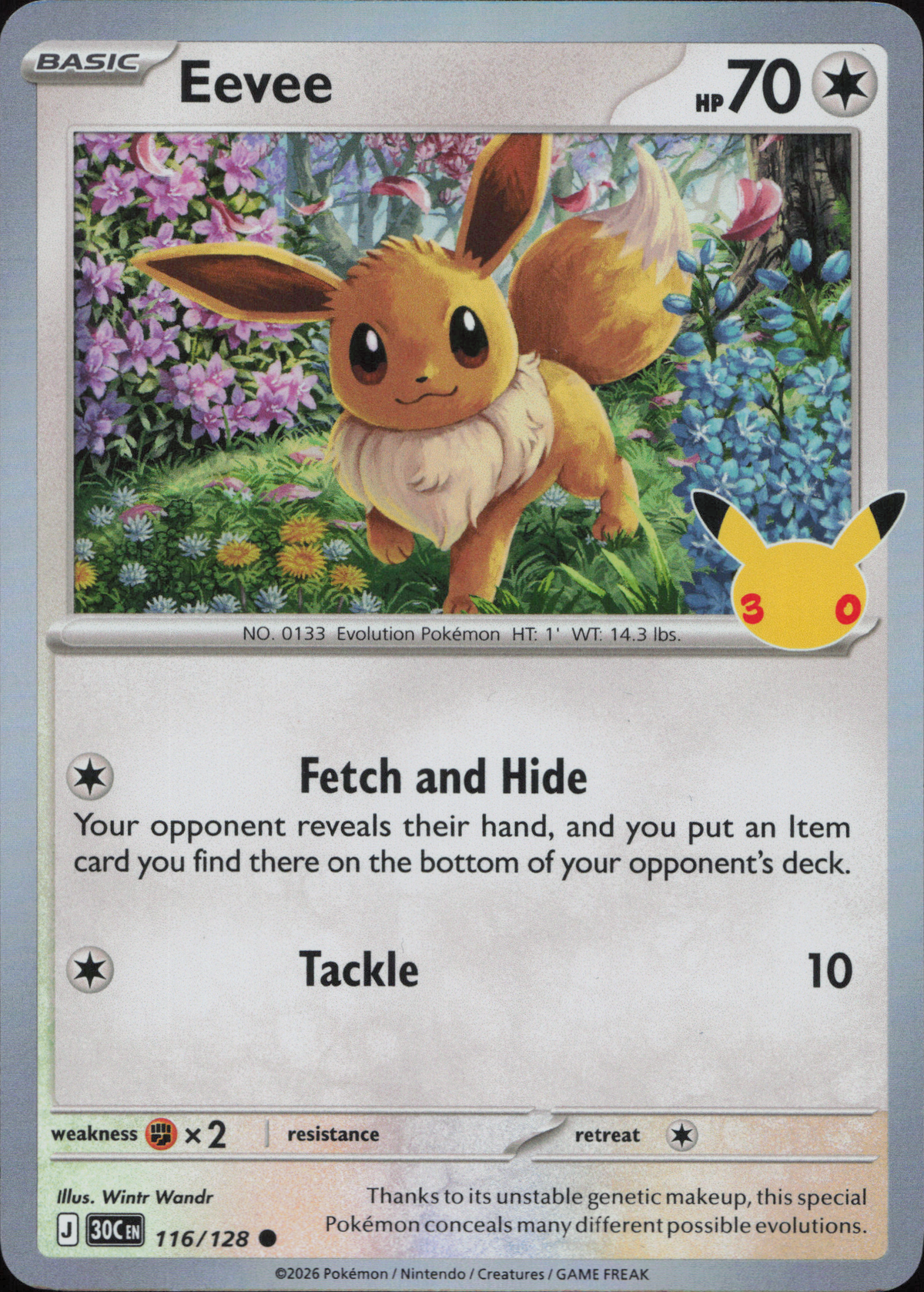 Eevee (30C 116)