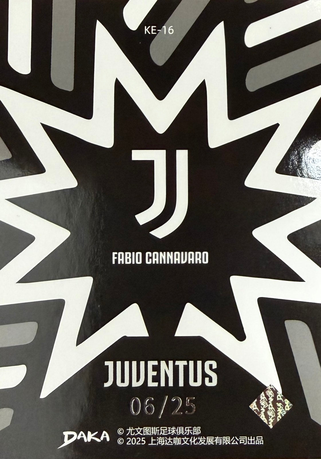 Fabio Cannavaro Numbered /25 Daka Juventus