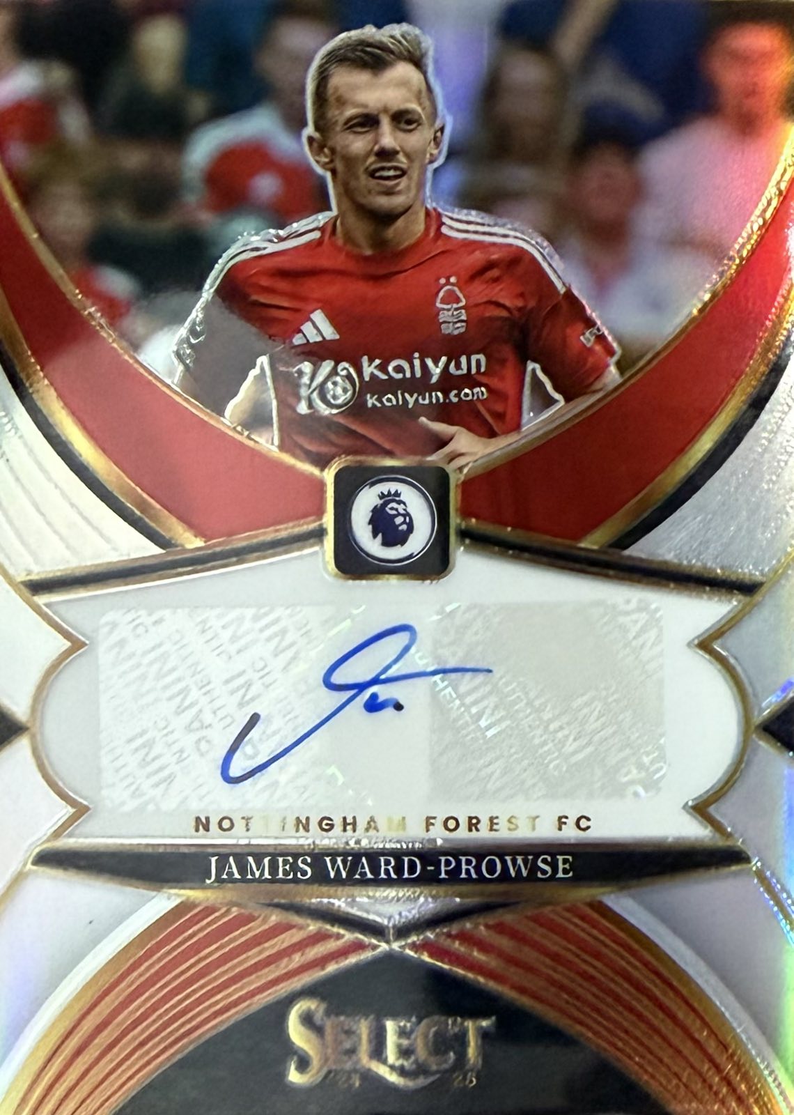 James Ward-Prowse Autograph Panini Select EPL