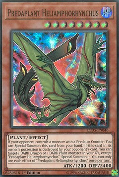 Predaplant Heliamphorhynchus
