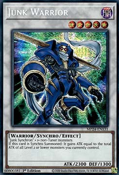 Junk Warrior