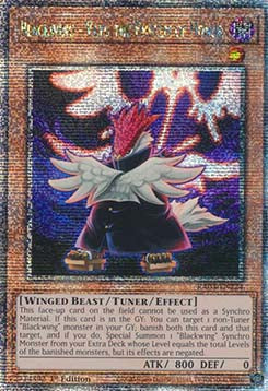 Blackwing - Vayu the Emblem of Honor (V.2 - Quarter Century Secret Rare)