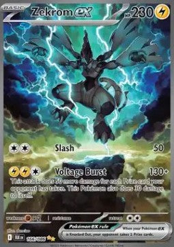 Zekrom ex (BLK 166)