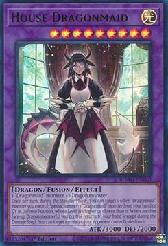House Dragonmaid