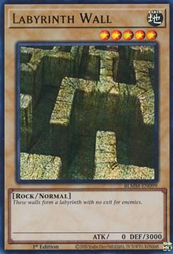 Labyrinth Wall