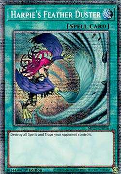 Harpie's Feather Duster