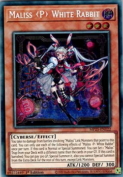 Maliss P White Rabbit