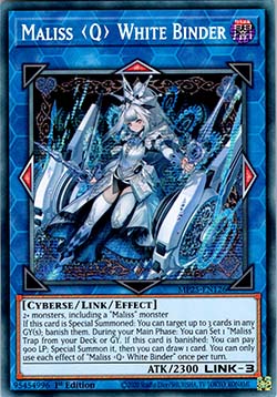 Maliss Q White Binder
