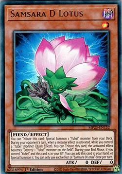 Samsara D Lotus