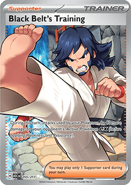 Black Belt's Training (ASC 255)