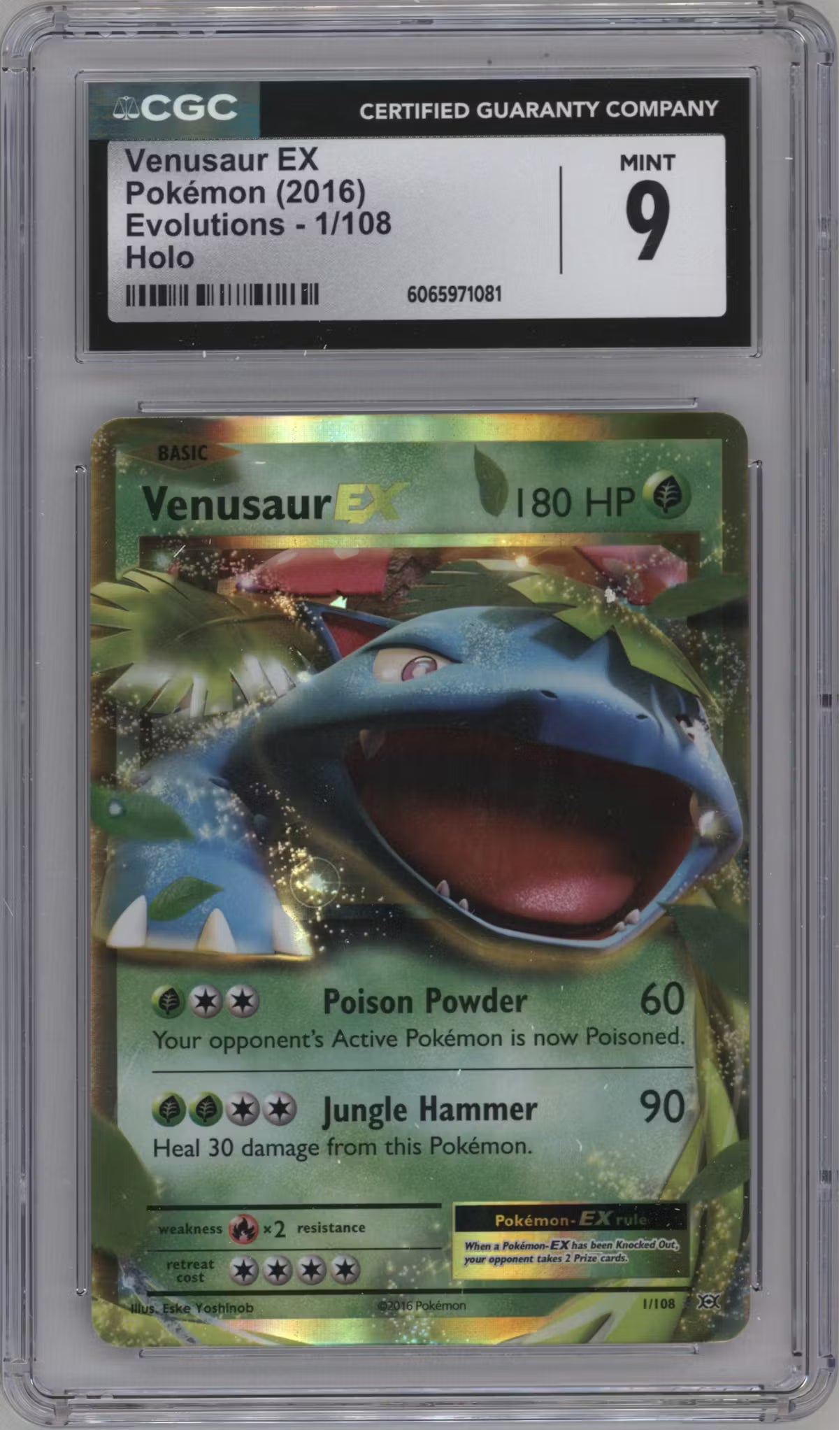 Venusaur EX (EVO 1)(GRADED)(CGC)