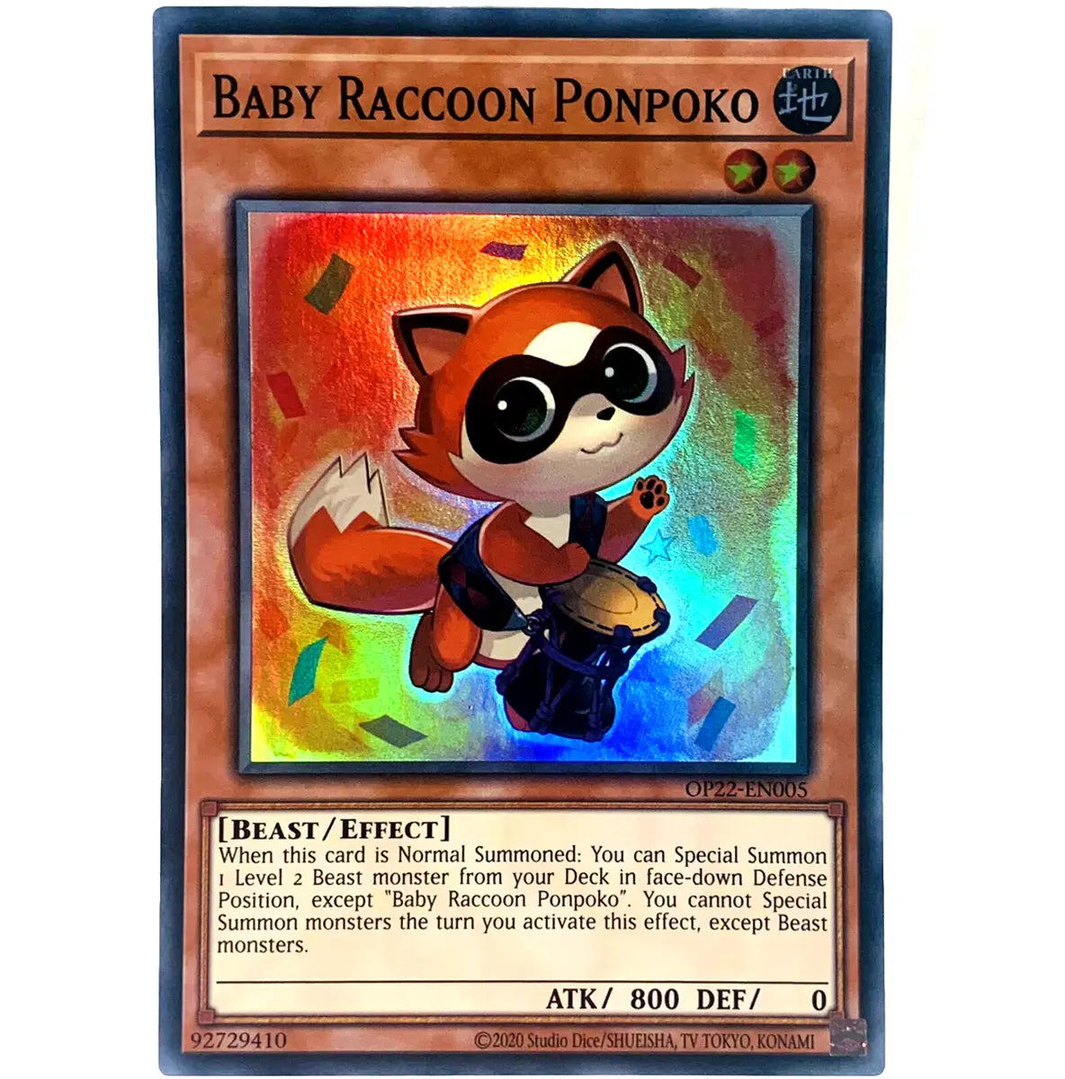 Baby Raccoon Ponpoko