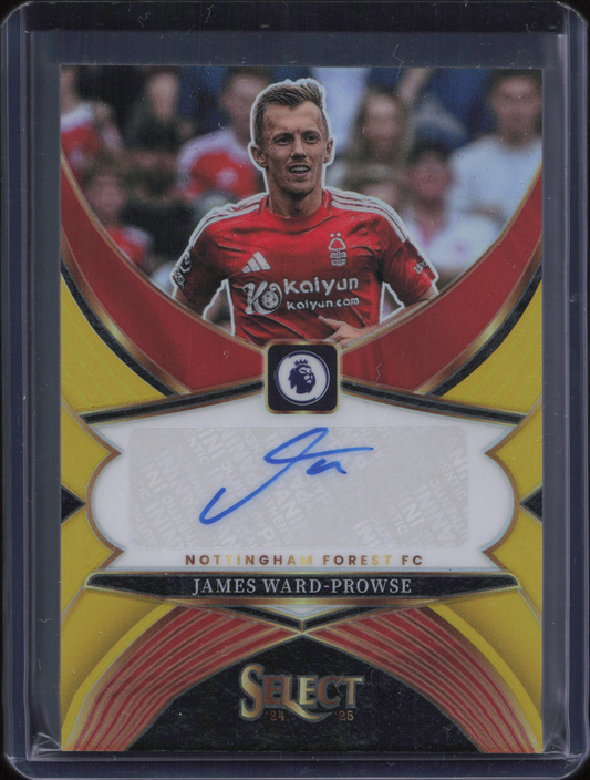 James Ward-Prowse Autograph Numbered /10 Panini Select EPL