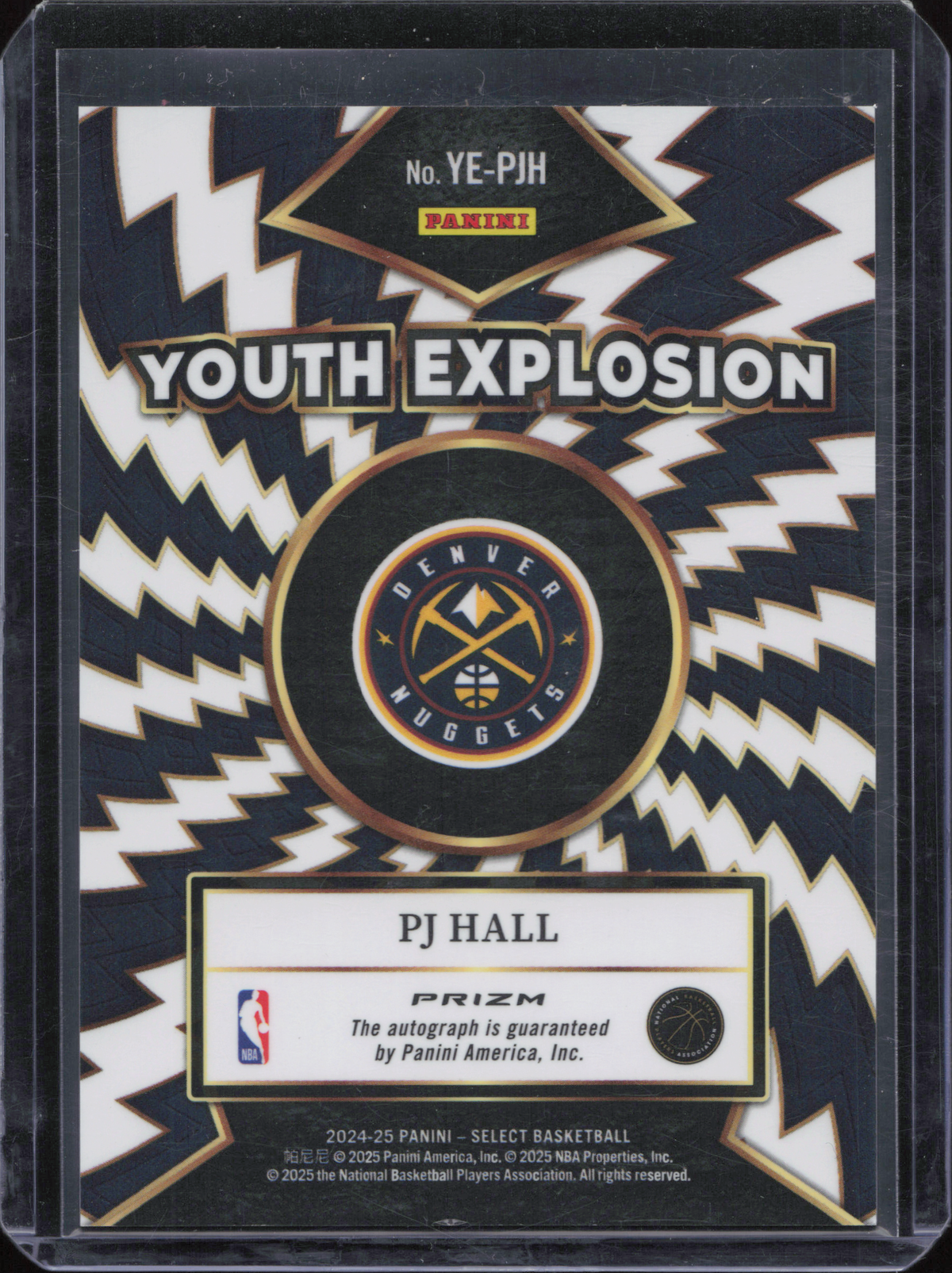 PJ Hall Rookie Autograph Panini Select