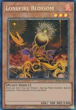 Lonefire Blossom (V.6 - Collectors Rare)