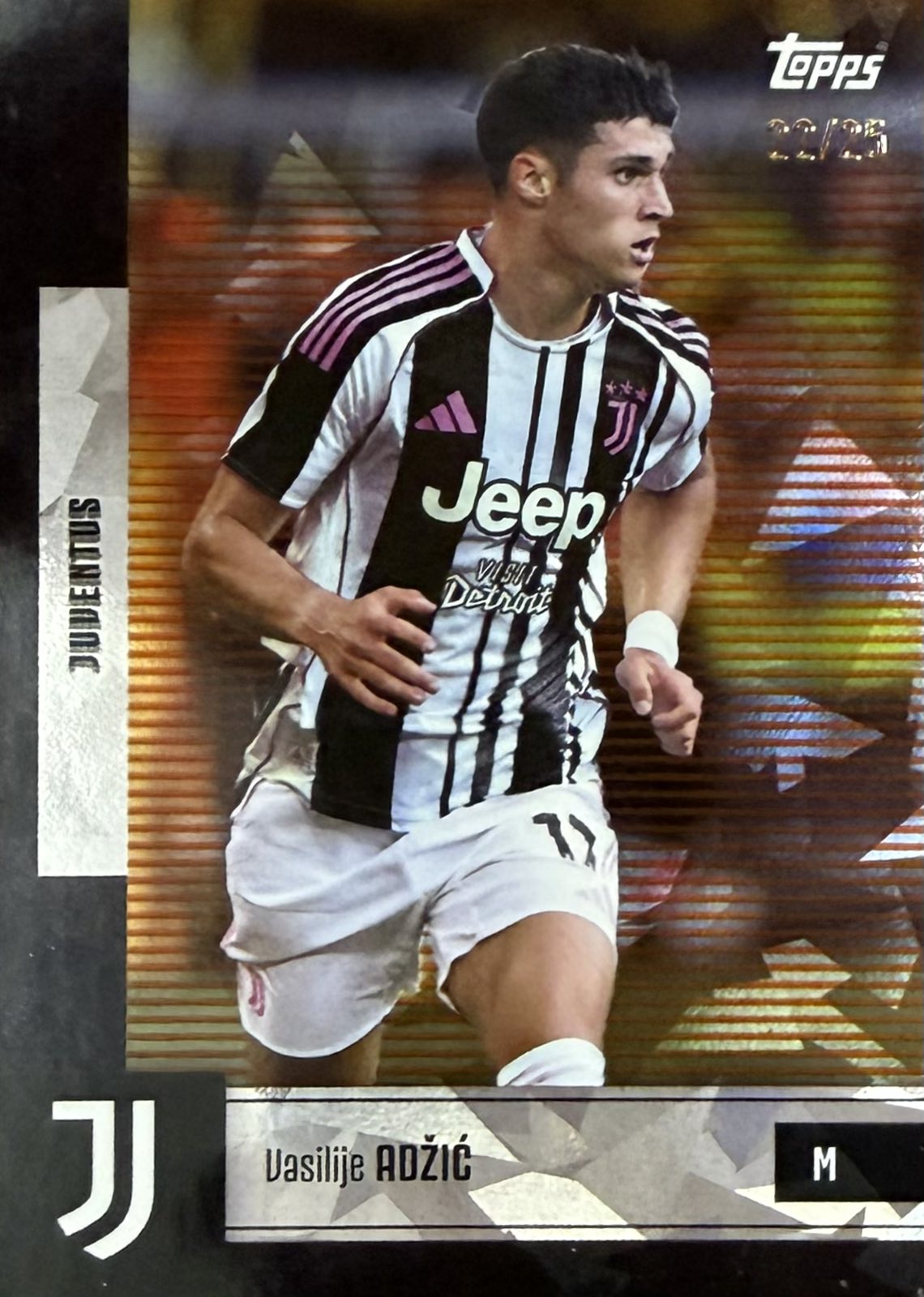 Vasilije Adzic Nubered /25 Team Set