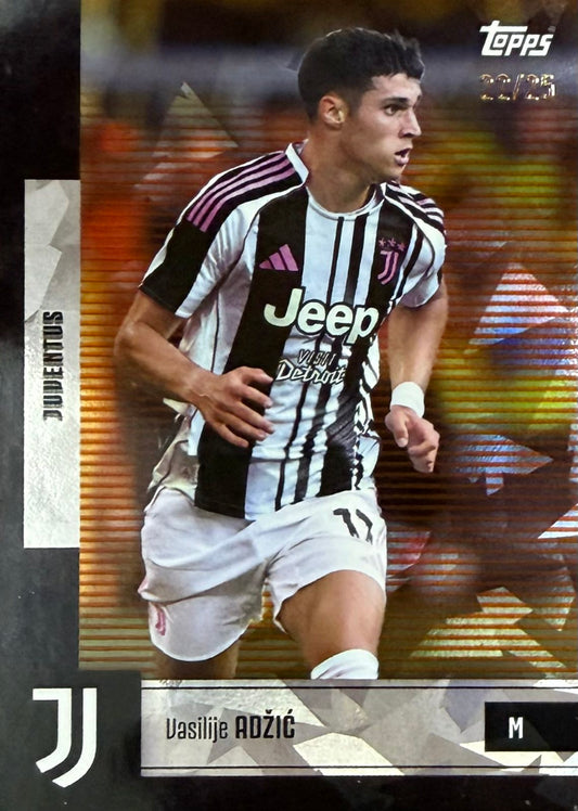 Vasilije Adzic Nubered /25 Team Set
